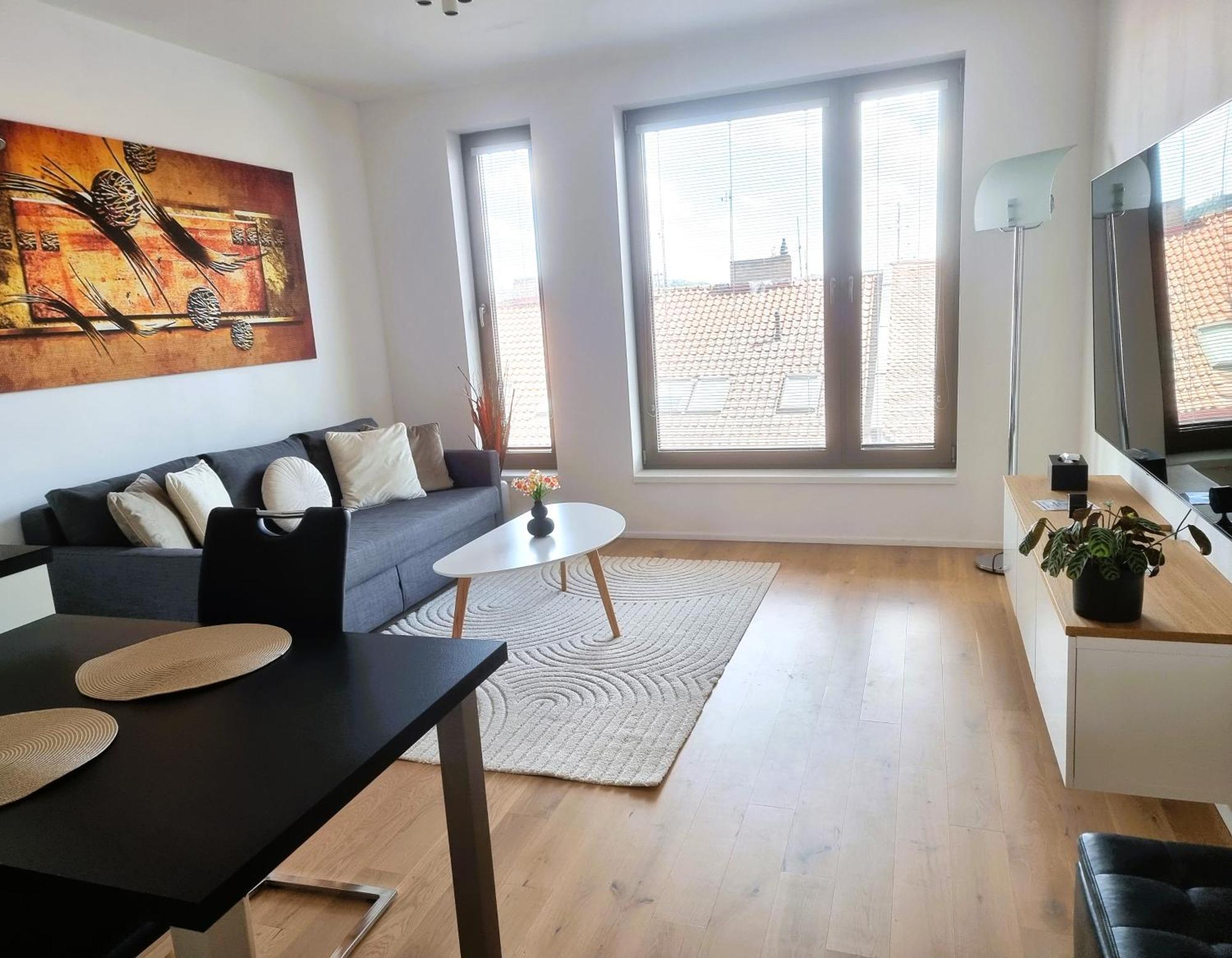 Luxurious Near The Center - Entire Unit